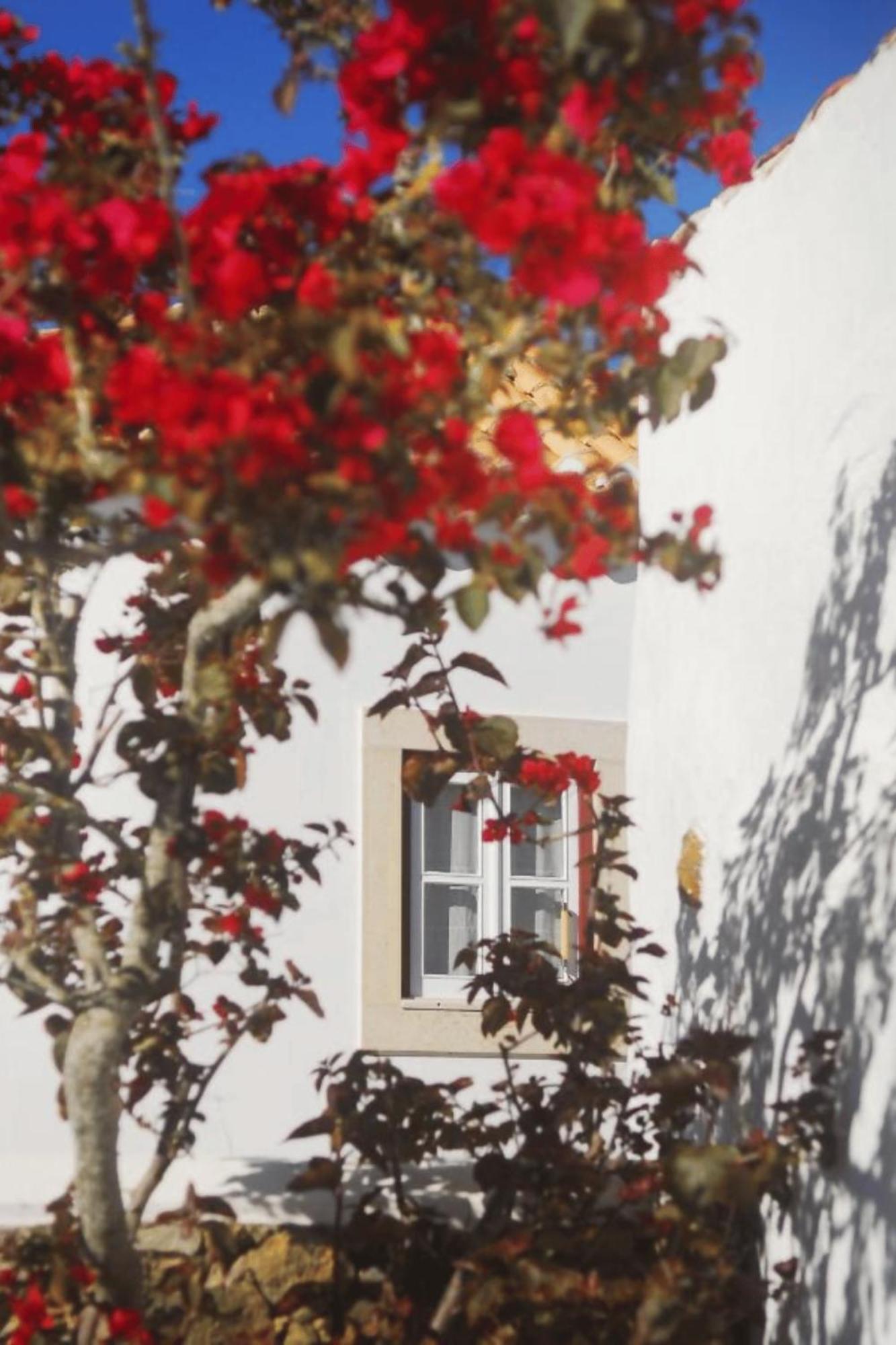 Casas Da Tia Alice - Casas De Campo Encantadoras Em Mafra Eksteriør billede