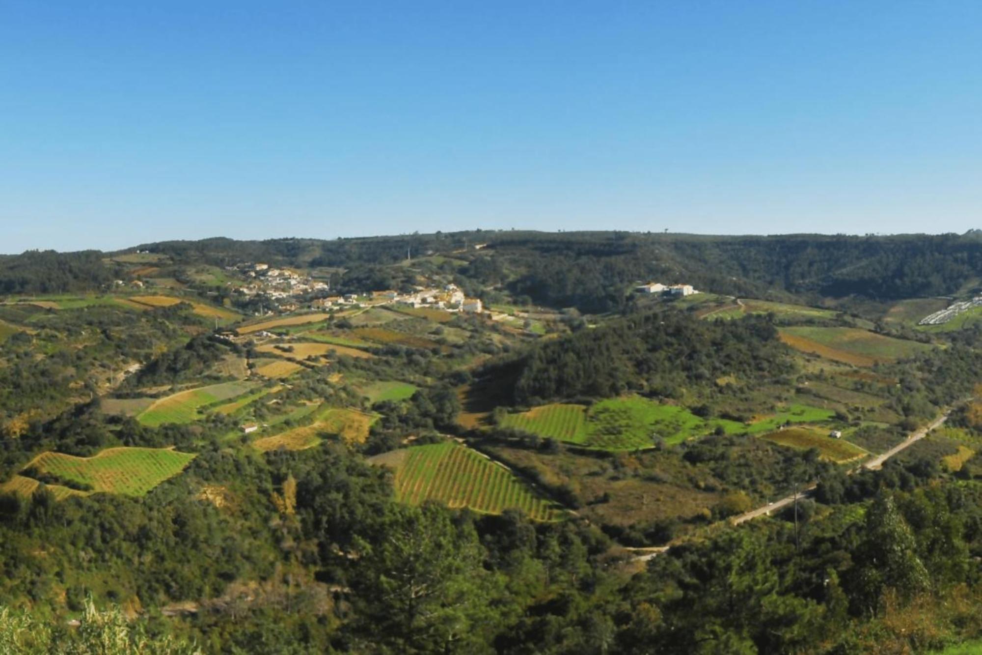 Casas Da Tia Alice - Casas De Campo Encantadoras Em Mafra Eksteriør billede